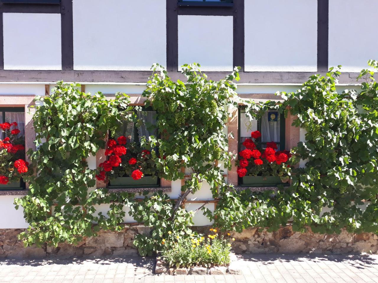 Balancehaus Hotel Kohren-Sahlis Bagian luar foto